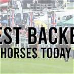 top horses to bet on today