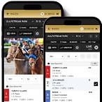 mr bet horse racing